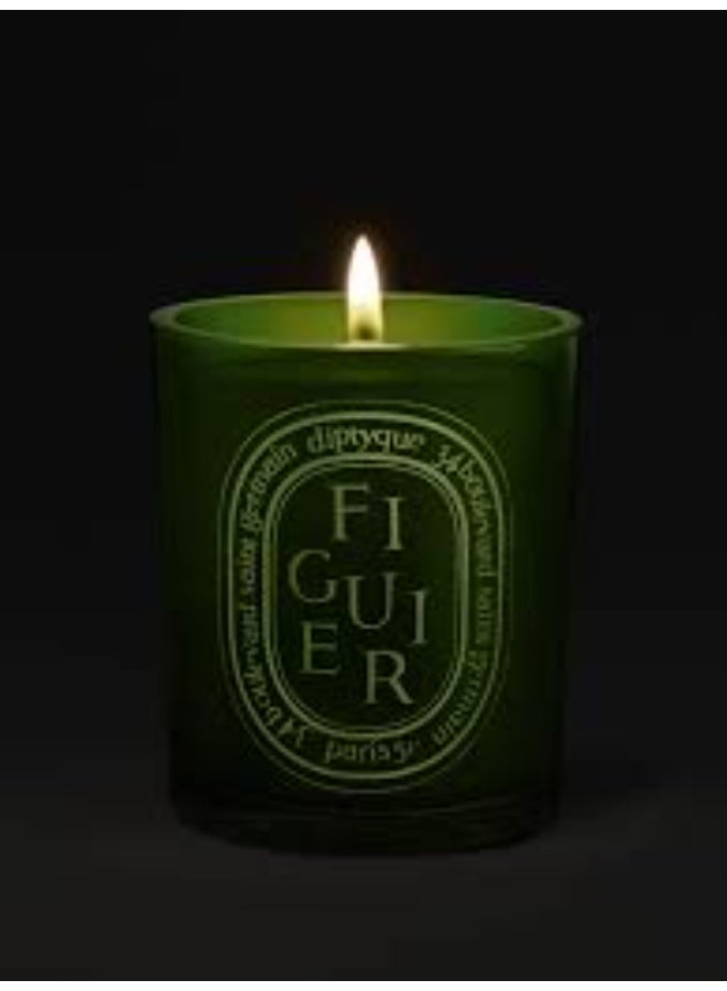 Diptyque Figuier Medium Scented Candle  300G - Image 4